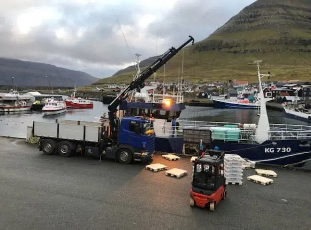 Read more about the article Færøerne: Blandede torsk og kuller landes flittigt