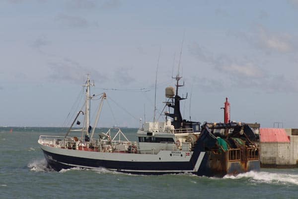 Read more about the article Tv om selektivt fiskeri og trawlteknologi