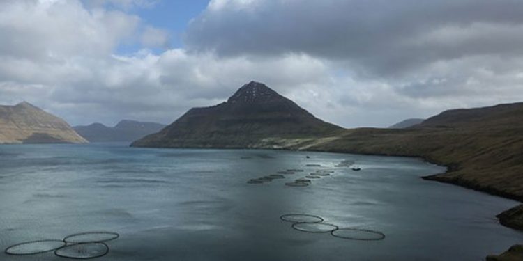 Det handler om laks og »når kun det bedste er godt nok«  Foto: Færøsk havdambrug - Atlantic Fair 2017
