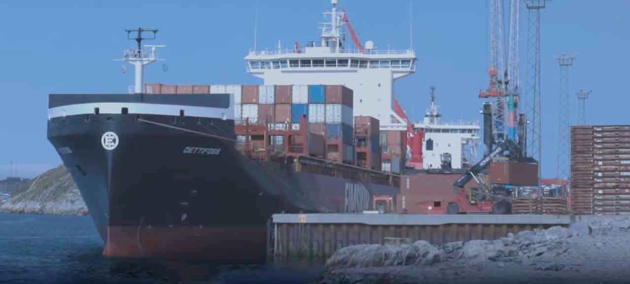 Read more about the article Arctic Import med stærkt 2025-resultat