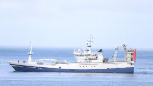 Den færøske trawler **Arctic Voyager** landede i sidste uge en last på 850 tons makrel til Pelagos. foto. Kiran J