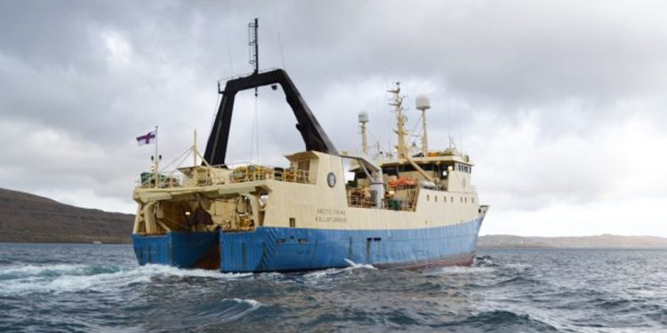 De landede 650 tons frossen fisk i Kollefjord foto: Emil Petersen - Fiskur.fo