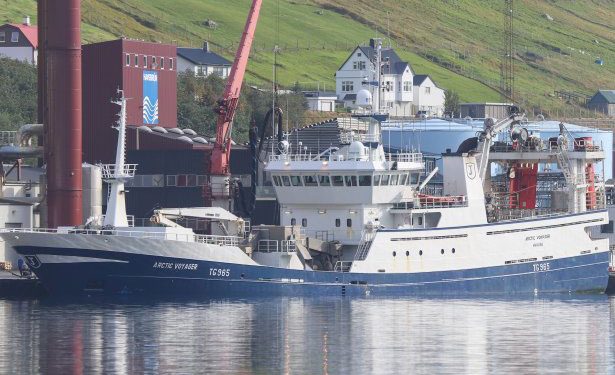 Færøerne: De pelagiske fartøjer lander nu både sild og blåhvilling. foto: Arctic Voyager - Kiran J