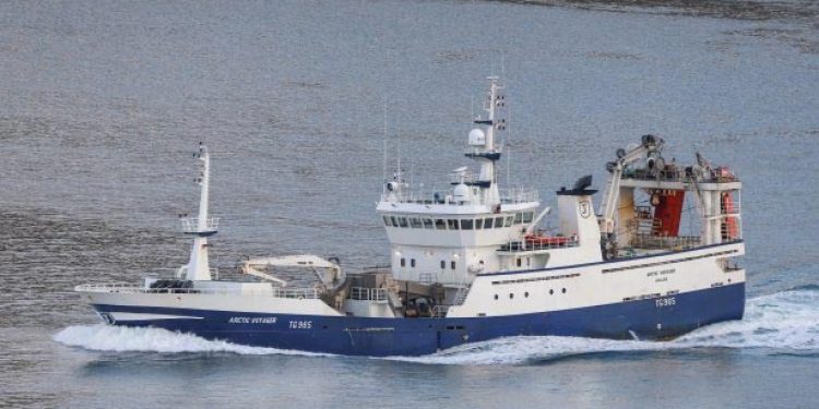 Trawleren Arctic Voyager landede 800 tons blåhvilling, som de har fisket ud for Færøerne.