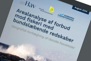 Ny fælles areal-analyse fra Danmarks Fiskeriforening Producent Organisation (DFPO), Danmarks Naturfredningsforening (DN) og Tænketanken Hav (HAV) giver for første gang et samlet overblik over, hvor det er forbudt at fiske med bundslæbende redskaber i danske farvande.