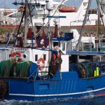 Biologers uenighed koster Bornholmske fiskere  Arkivfoto: Andrea Nexø - G.Vejen