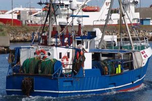 Biologers uenighed koster Bornholmske fiskere  Arkivfoto: Andrea Nexø - G.Vejen