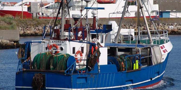 Biologers uenighed koster Bornholmske fiskere  Arkivfoto: Andrea Nexø - G.Vejen