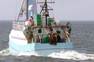 O-kvote på torsk vil slå bunden ud af Kattegat-fiskeriet