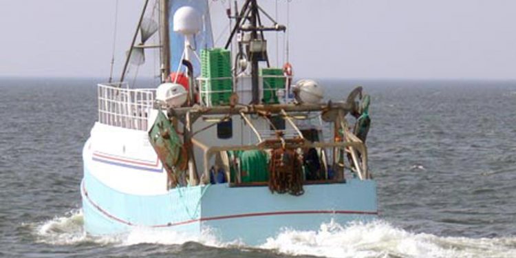 O-kvote på torsk vil slå bunden ud af Kattegat-fiskeriet