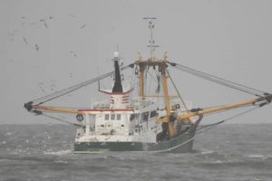 16 mio. kr. til at undersøge effekten af bundslæbende fiskeredskaber i Jammerbugt. arkivfoto: FiskerForum.dk
