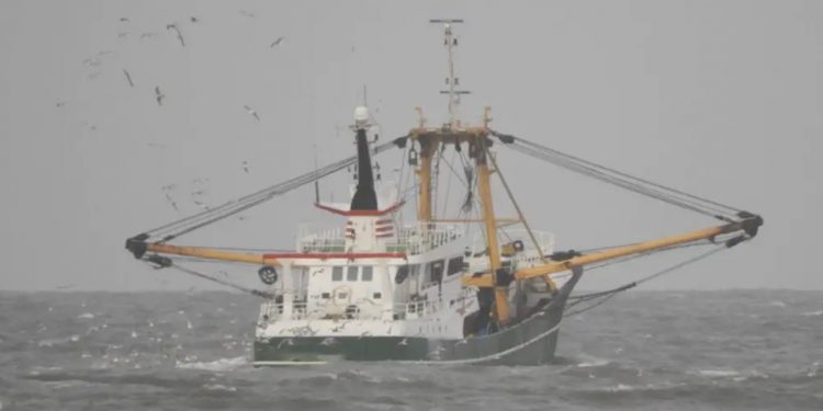 16 mio. kr. til at undersøge effekten af bundslæbende fiskeredskaber i Jammerbugt. arkivfoto: FiskerForum.dk