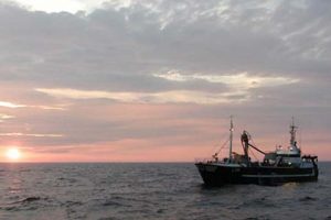 Fiskeriforeningsformand frygter lave tobis kvoter i 2016.  Arkivfoto: Industrifiskeriet - HCL