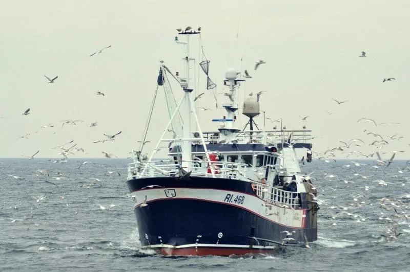 Read more about the article Det norske fiskeridirektorat har lukket område i Nordsøen