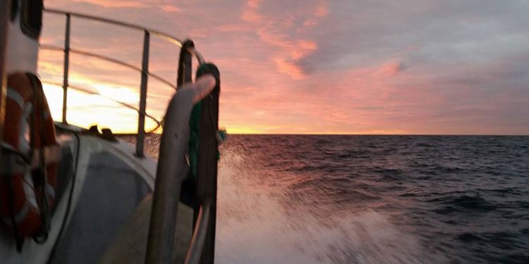 Mavepumper til fiskeriet i Vestlige Østersø   Arkivfoto: CSH