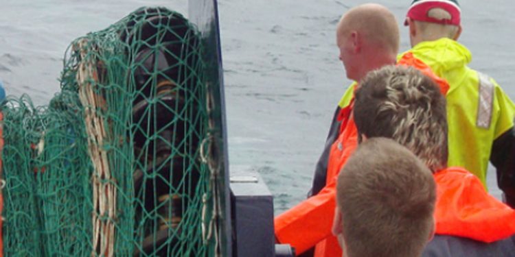 Fiskernes sikkerhed ombord var i top sidste år  Arkivfoto fra en arbejdssituation ombord - F-A.dk