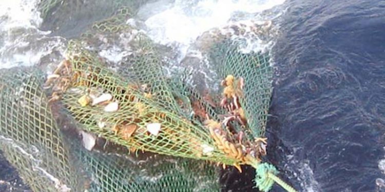 DiscardLess skal gøre fiskeindustrien mere bæredygtig.  Arkivfoto: fiskeri - Fiskerforum