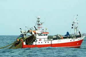 Fiskeriaftalen sikre loft over kvotekoncentration   Arkivfoto: H.Hansen