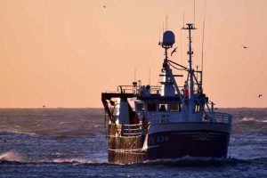 Regeringen negligere danske fiskere.  Arkivfoto: HHansen