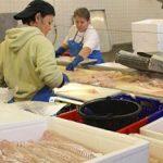 Fiskeriet lider, men fødevareindustrien lider også under de stadigt stigende energi-priser. foto: Hanstholm