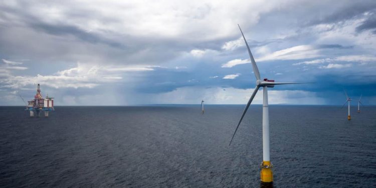 Norsk undersøgelse afviser at tobis-larver påvirkes af magnetfelter fra Havvindkraft. arkivfoto