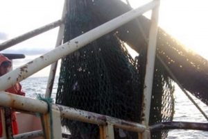 Fiskeriforeningen syntes også fiskeriaftalen onsdag, har ramt forbi målet