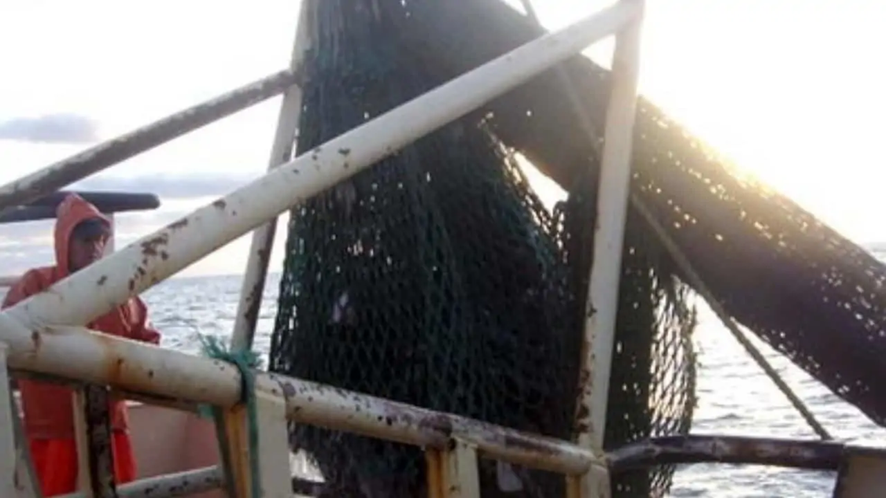 Read more about the article Fiskeriforeningen syntes også fiskeriaftalen onsdag, har ramt forbi målet