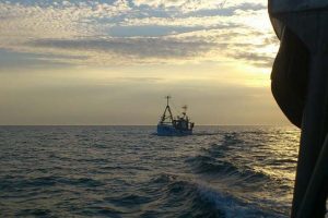 Absurd gammel dansk / svensk aftale giver tyske fiskere et fortrin