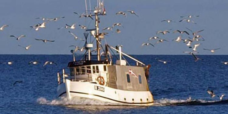 41 fiskere i Kystfiskerordningen har fået afslag på tillægskvoten.  Arkivfoto: Kystfisker CSH