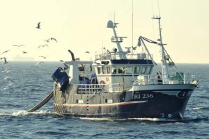 Flere fisk til danske fiskere i 2016 - Arkivfoto: Lisbeth Frich - RSC