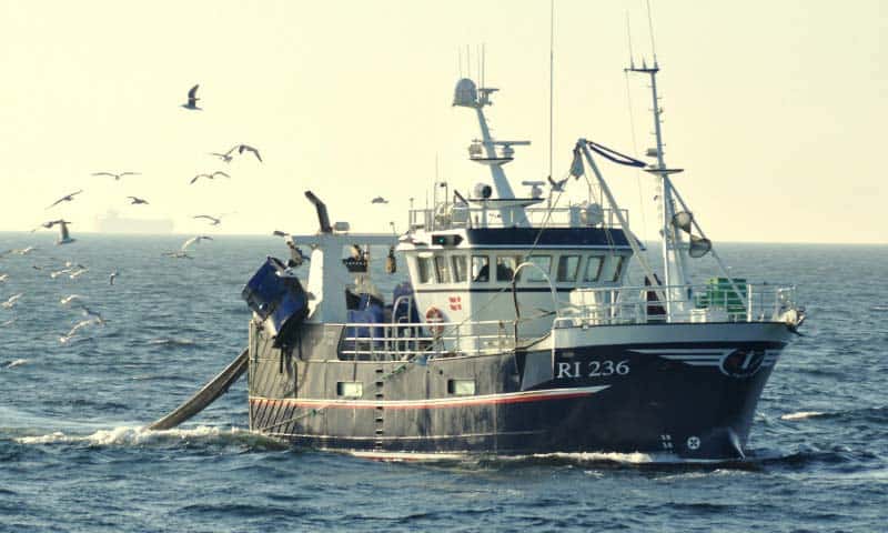 Read more about the article Flere fisk til danske fiskere i 2016