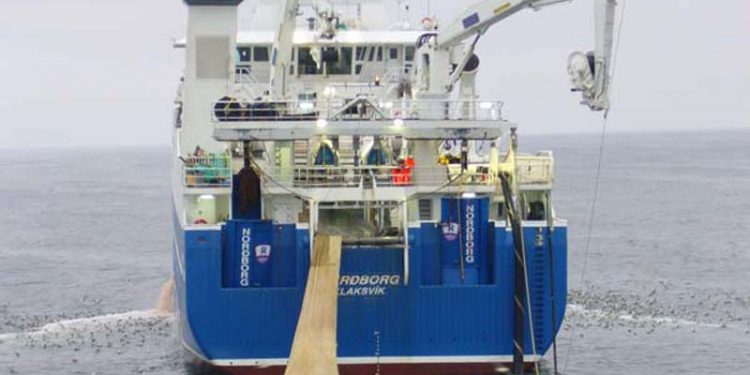 Nyt fra Færøerne uge 10.  Arkivfoto: Nordborg har fisket sin loddekvote op og lander 1900 tons lodde til Ánunum - PJS