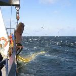 EUs Minister-Råd vedtager fangstbegrænsninger for 2024 arkivfoto FiskerForumd.dk