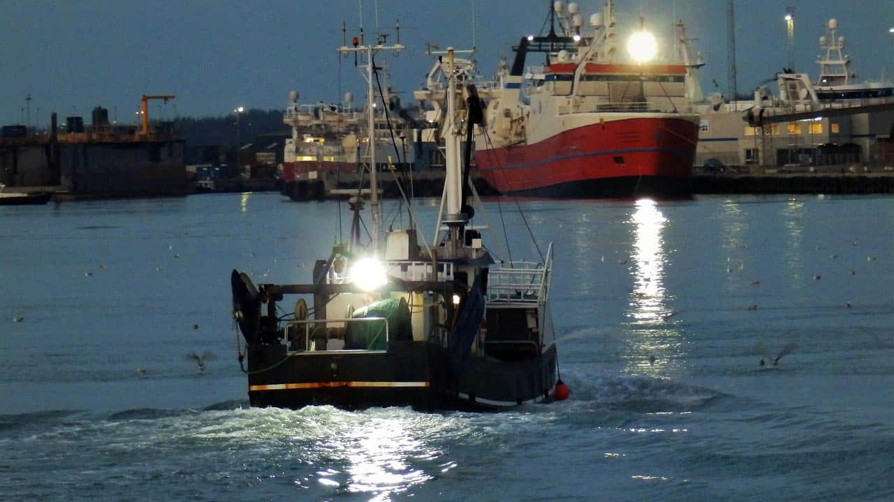Read more about the article Fiskernes Forsikring ønsker at forebygge havarier i industrifiskeriet
