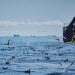 Royal Greenland lander overskud på 96 mio i første halvår af 2022, men gælden vokser inden ny direktør tiltræder foto: Royal Greenland