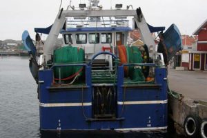 Britisk nedlukning for trawl på Dogger, får alvorlige konsekvenser for danske fiskere. foto: Westbank- HHansen