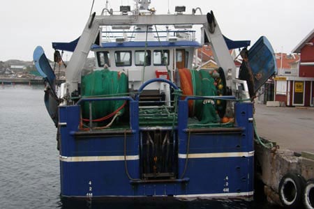 Read more about the article Britisk nedlukning for trawl på Dogger, får alvorlige konsekvenser for danske fiskere