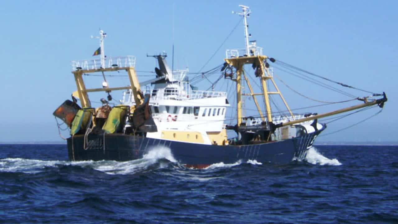 Read more about the article Dansk forbud mod bom-trawl skaber bekymring for EU-splittelse