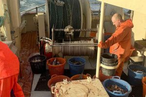 Det er ellers forfriskende at se engagement i den grønne dagsorden, også omkring dansk fiskeri og dets ansatte. Men SFs folketingskandidat i Nordsjællands Storkreds, 41 årige Emil Nielsen, der er pressechef for Danmarks Naturfredningsforening og tidligere presseansvarlig og kampagneansvarlig hos Enhedslisten i 7 år, skyder desværre forbi målet med sine grove overdrivelser om fiskeriet i sit debatindlæg. foto: Dan Hansen