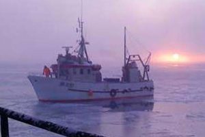 Åben konflikt i det grønlandske Naalakkersuisoq for Fiskeri  arkivfoto