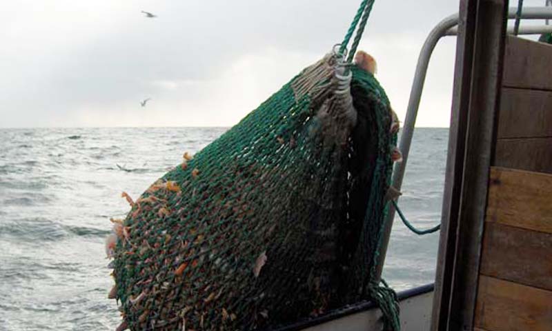 Read more about the article Frit redskabsvalg giver overraskende færre undermålere