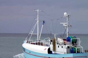 MSC suspenderinger i JDF-fiskeriet (Joint demersal fisheries) arkivfoto: PmrA