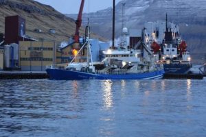 Større torske kvote til Island for den kommende fangstsæson.  Arkivfoto: Losning af Islandsk fartøj - Gunnar