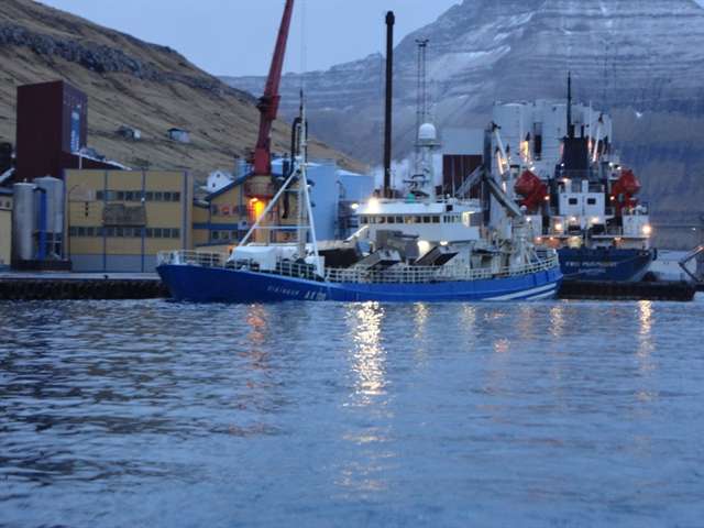 Read more about the article Større torske kvote til Island for den kommende fangstsæson