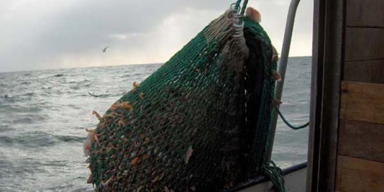 Hovedbekendtgørelsen for erhvervsfiskeriet i 2012 er nu på plads  Arkivfoto: Brian-V