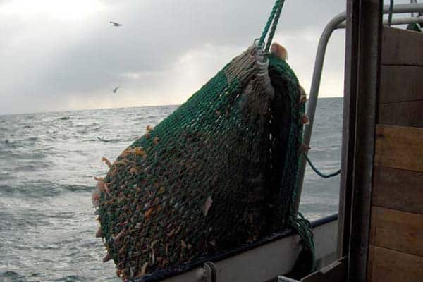 Read more about the article Hovedbekendtgørelsen for erhvervsfiskeriet i 2012 er nu på plads