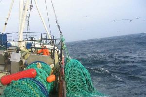Dansk fiskeri forventes at falde 33 pct. i 2012.  Arkivfoto: Erik Jensen