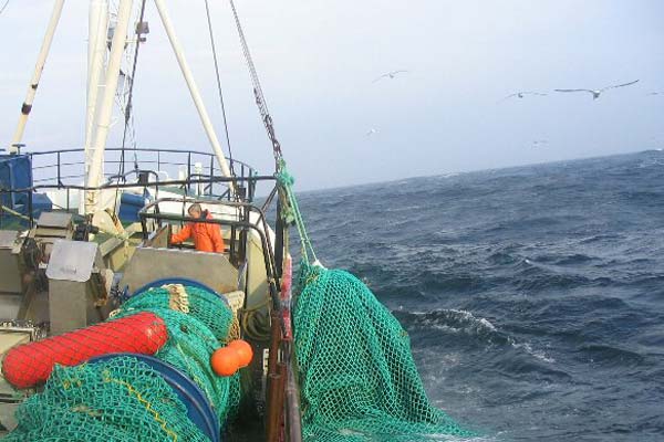Read more about the article Dansk fiskeri forventes at falde 33 pct. i 2012