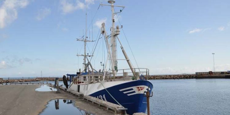Tilskud til fiskerihavne og landingssteder  foto: FiskerForum