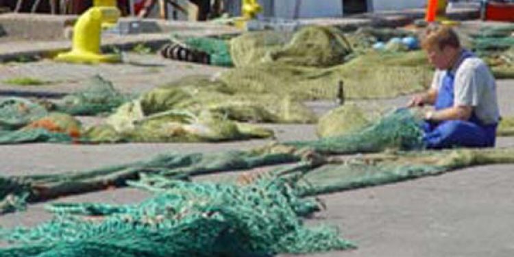I årets første fem måneder var bruttoindtjeningen ved det danske fiskeri på 1.272 mio. kr.